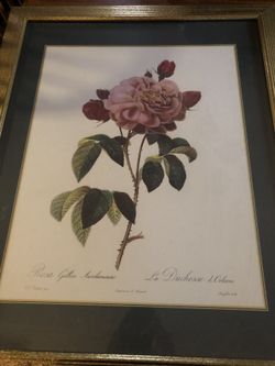 Framed floral print needs new frame