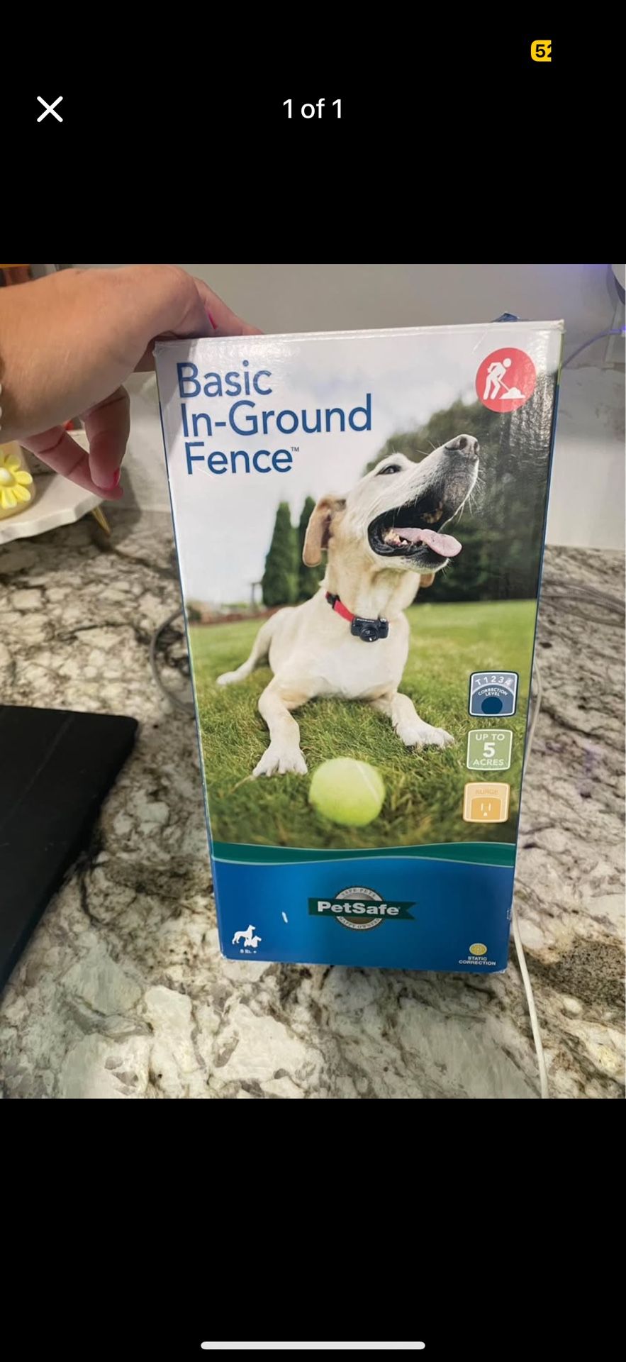 Invisible Dog Fence