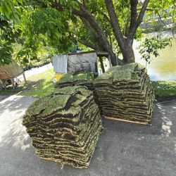St Augustine sod - $225 Per pallet 