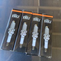 Double Iridium Spark Plug