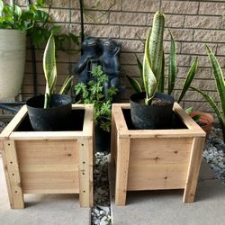 Cedar Plant Planters 
