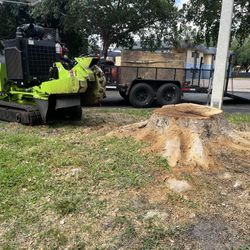 Carlton Stump Grinding 