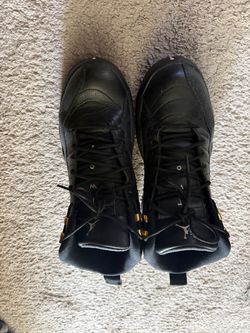 Jordan 12 Retro Masters