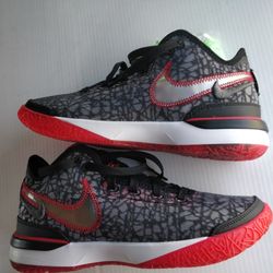 Zoom Labron NXXT Gen 