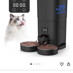 Automatic Food Dispenser 