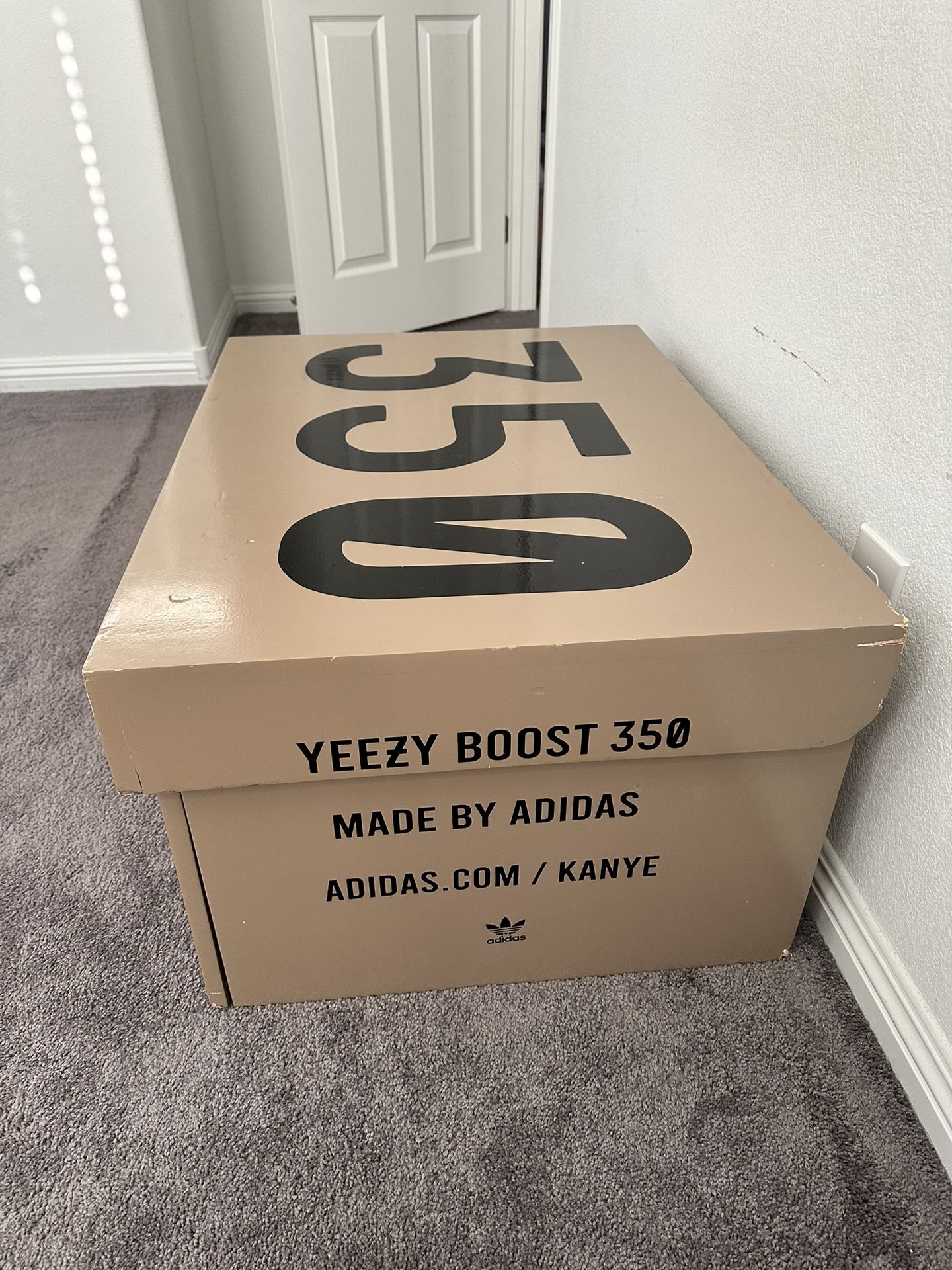 Yeezy Shoebox Storage