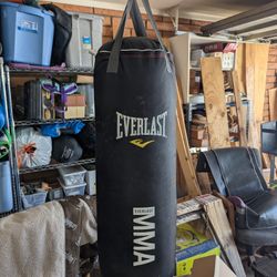 Punching Bag Everlast MMA