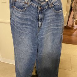 NWT Woman’s American Eagle Baggy Jeans Size 16 Short