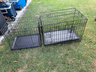 Dog Crates with Trays