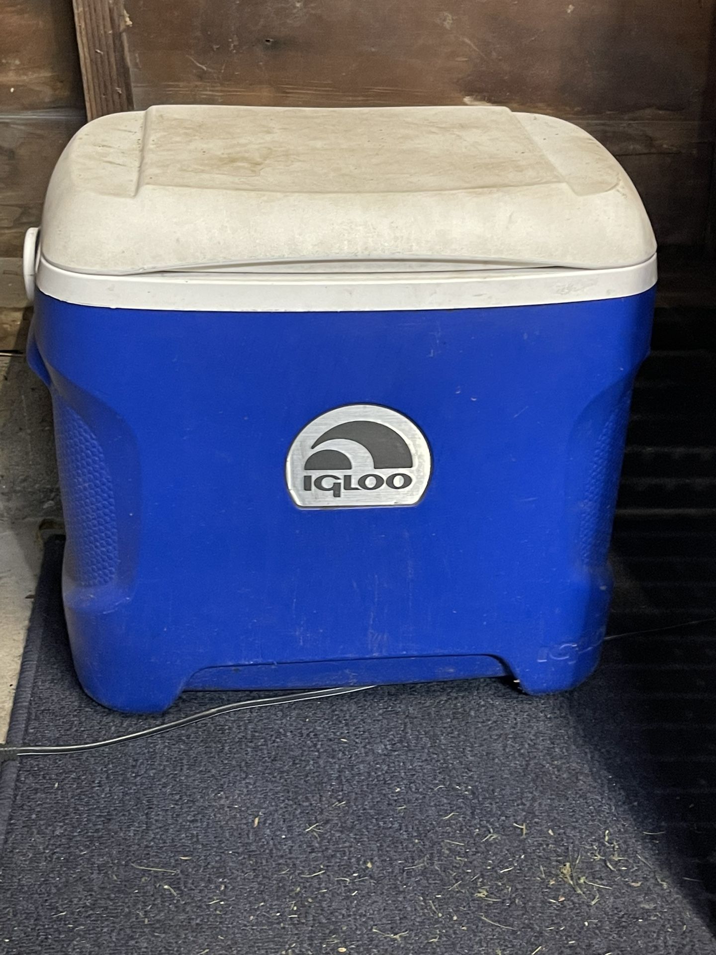 Igloo 24 can cooler￼