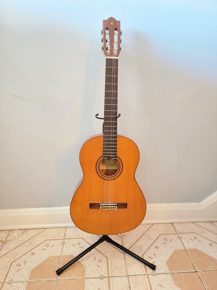 Acoustic Guitar