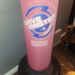 Punching Bag/stand