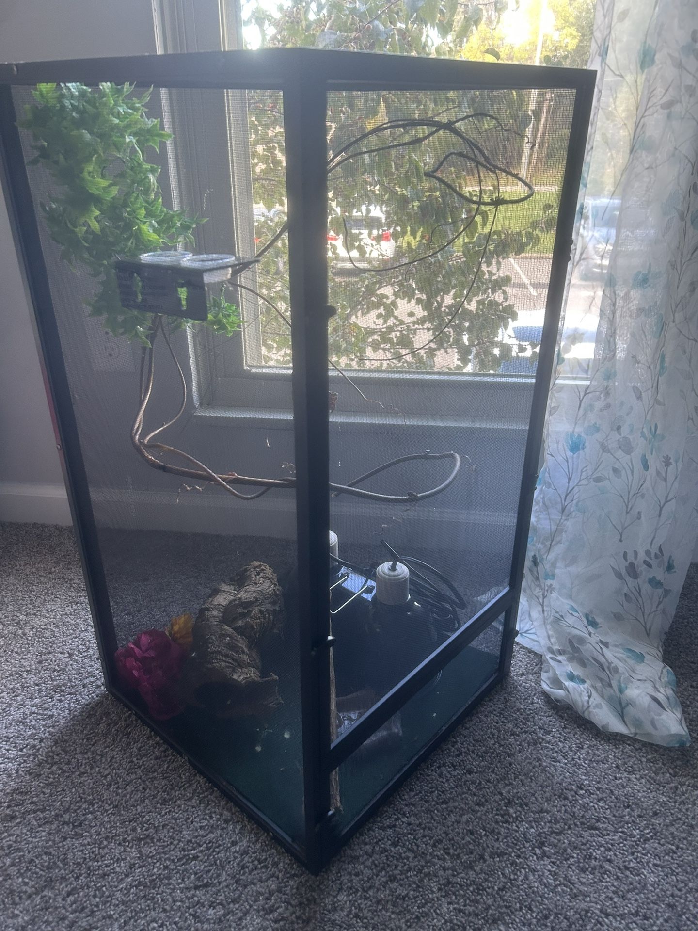 Screened Chameleon Terrarium (all Items Included)