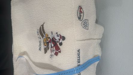 Mickey winter sports