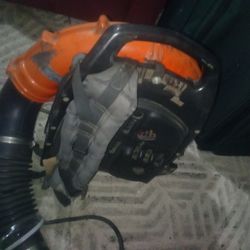 Echo leaf blower