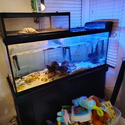 Fish Tank With Canister Fluval Filter