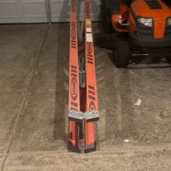 12 Ft Werner Ladder
