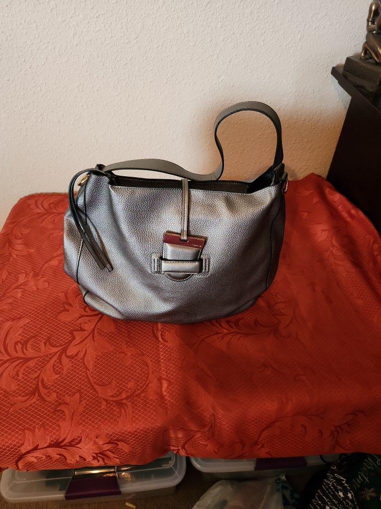 Womens Caprisa Silver Purse
