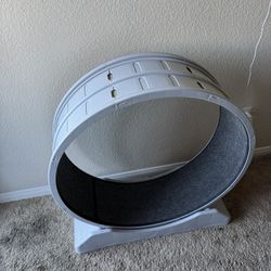 Cat Wheel