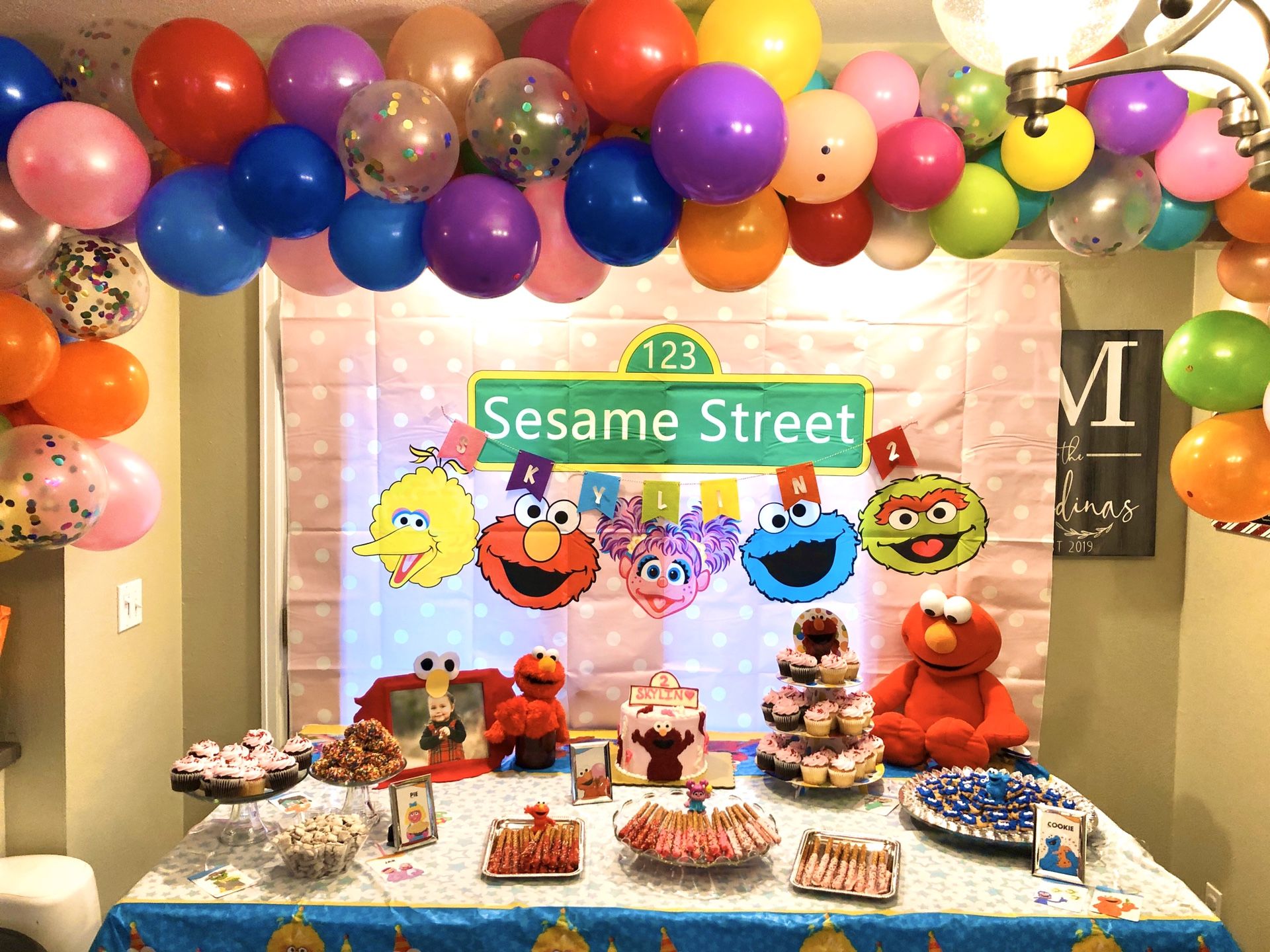 Sesame Street party decorations