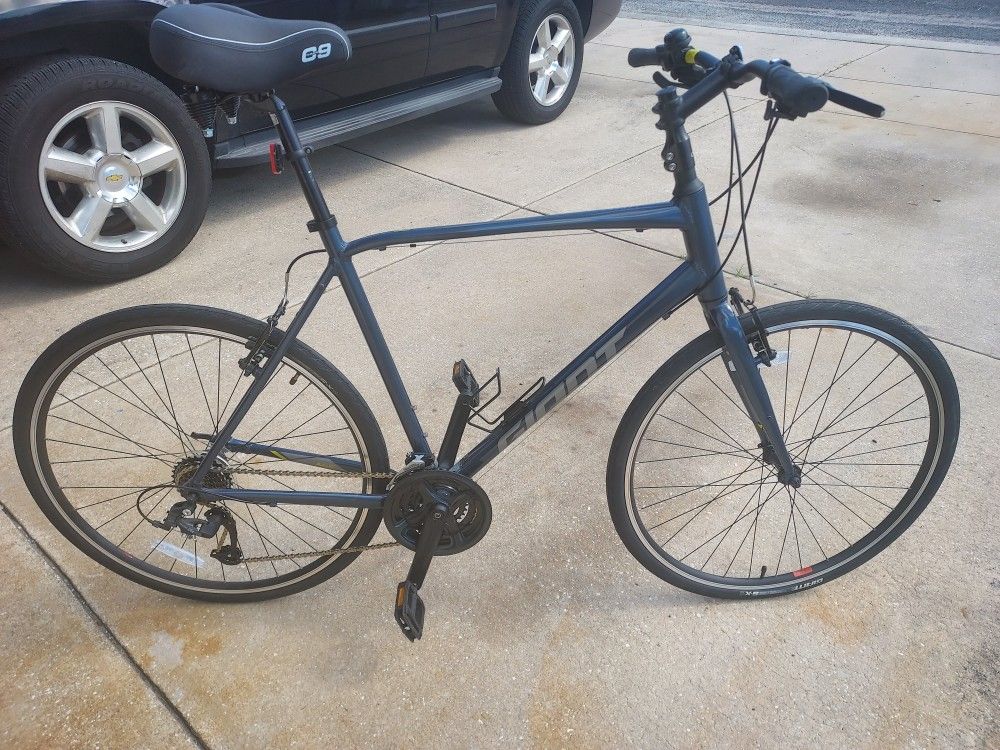 Giant Escape Bike Blue