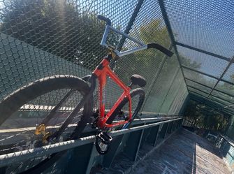 Throne 29 inch fixed gear