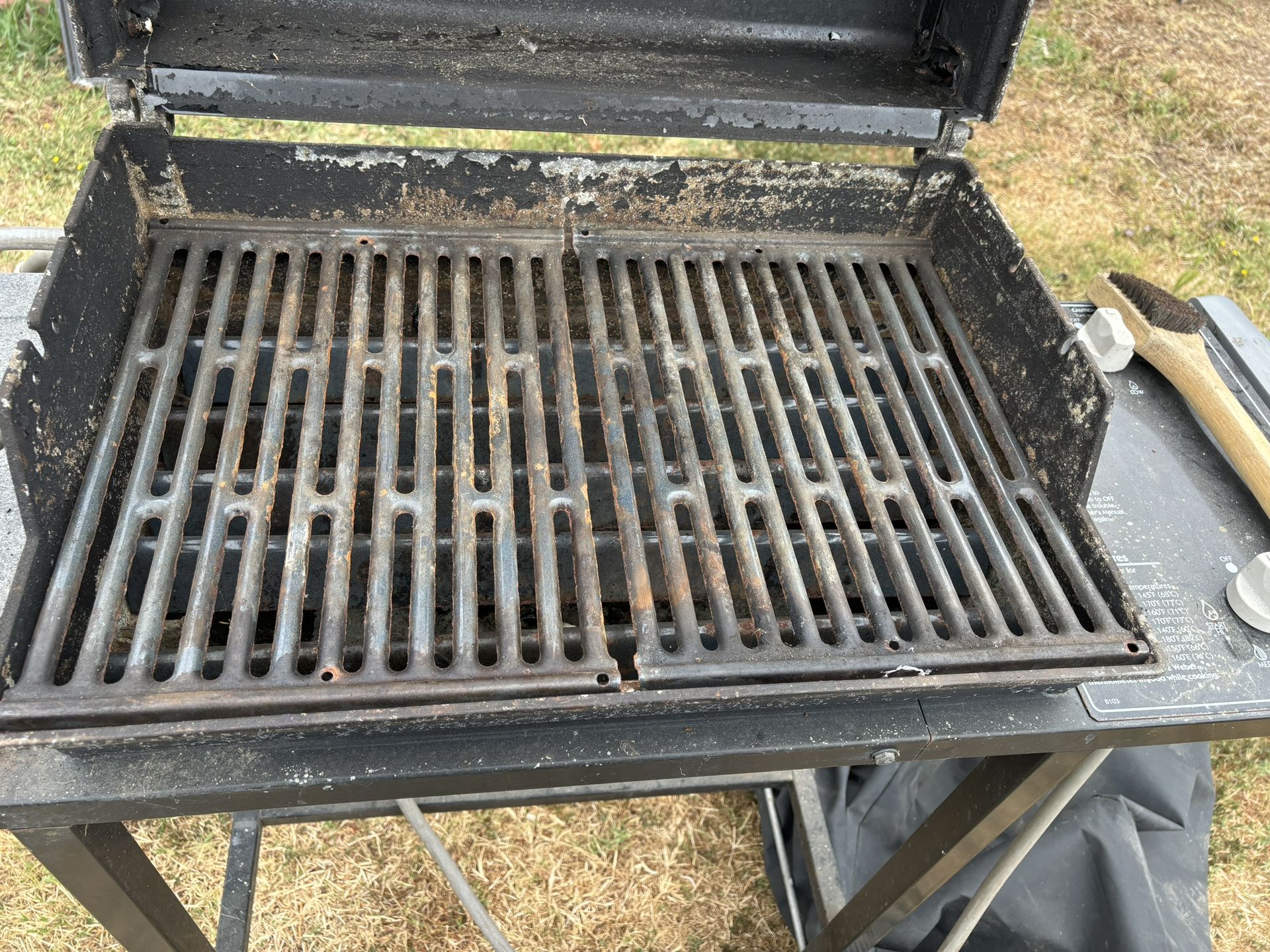 BBQ Grill / Asador De Gas