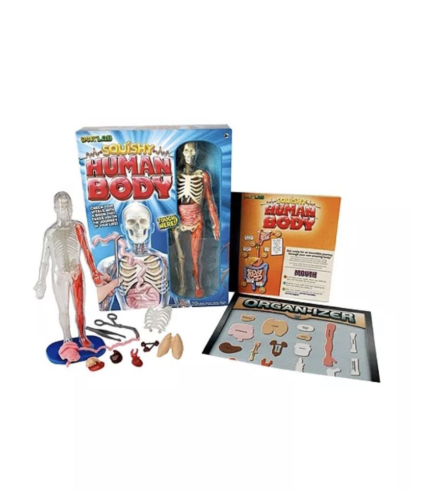 Toy Anatomy Kit, Squishy Human Body Activity Kit For Kids, Learning Game