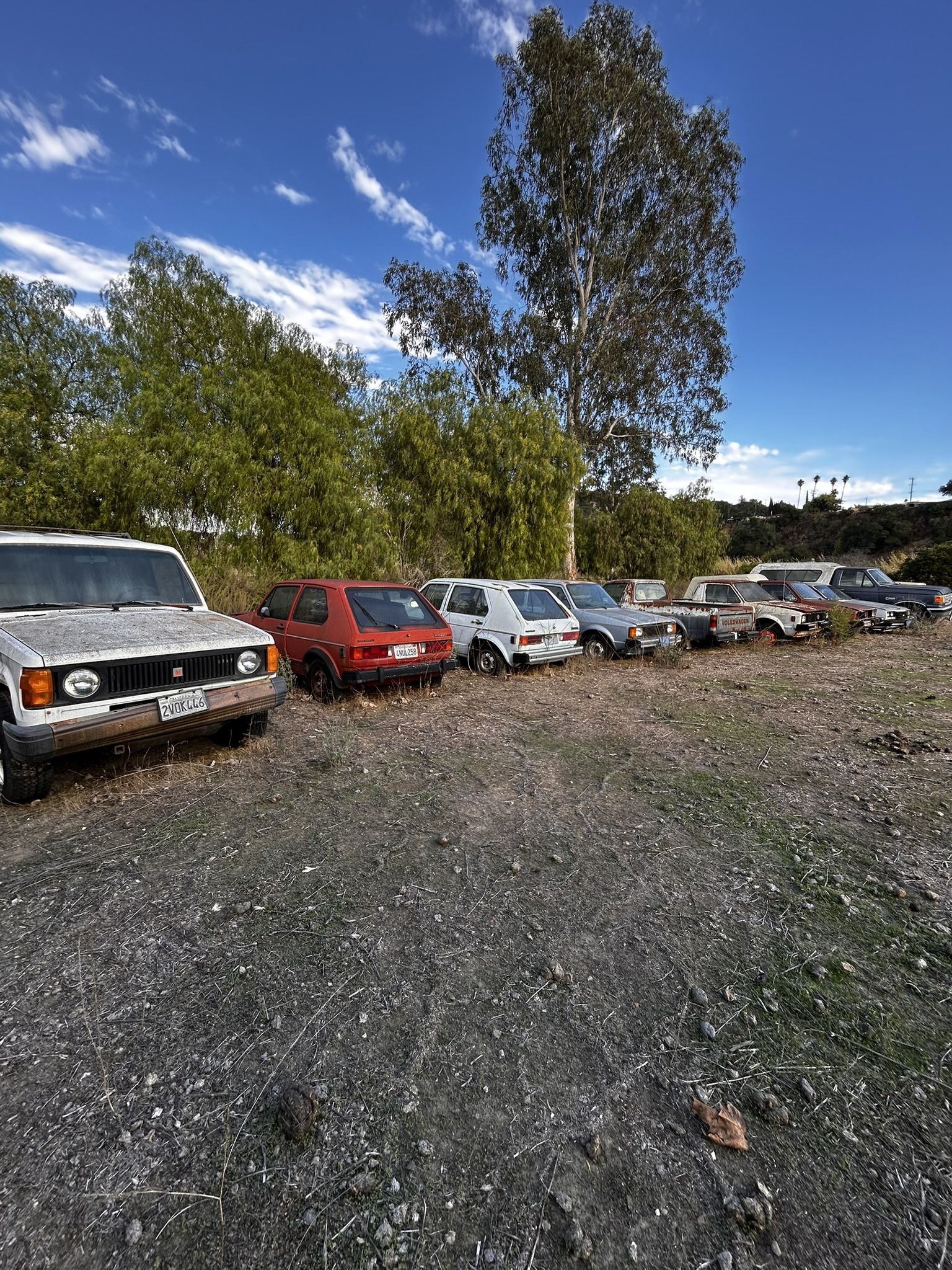 Volkswagen And Ford Collection