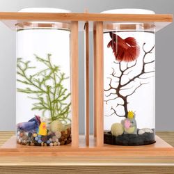 🚨Aquarium Tank 🚨