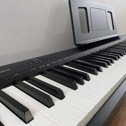 Roland FP-10 Digital Piano (88 key)