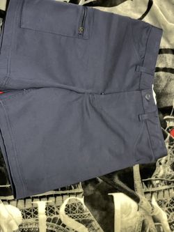 Nike Sb Dunk Shorts