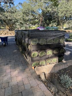 One Full Pallet Of Sod For Sale