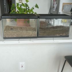 2 - 10-gallon glass aquarium tank for terrariums/aquariums