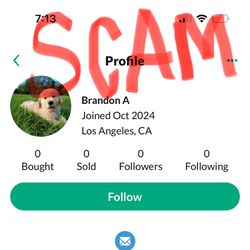 Disneyland Tickets Scam 