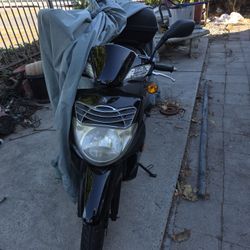 Moped Evo HD