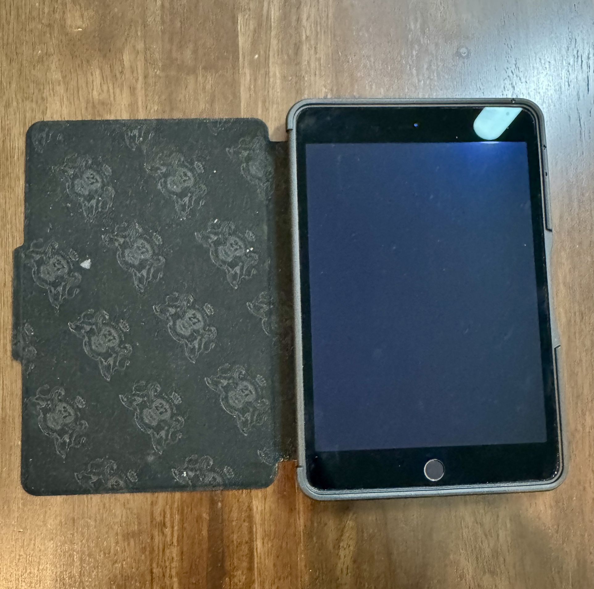 iPad Mini 4 With Case 