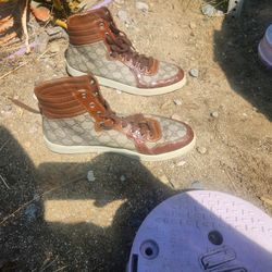 Gucci Supreme High Top Gator Trim Brown Size 11