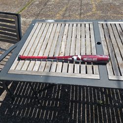 Baseball Bat