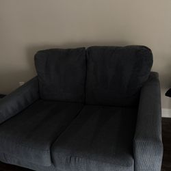 Couch/ Sofa 