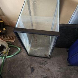 20 Gallon And 10 Gallon Tank