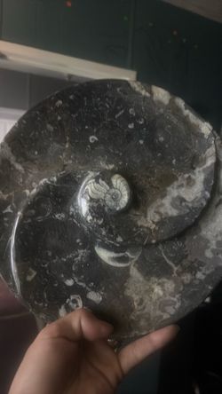 Super nice stone plate or house decor , ash tray idk with fossils ammonites grey black white
