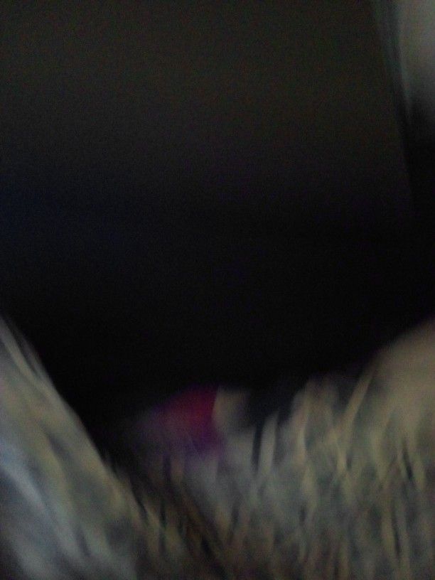 Model A2039 Makeup & Cosmetics