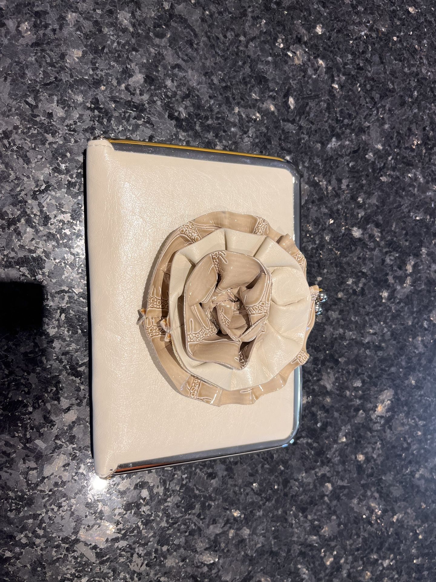 Small Clasp Closure Pocketbook