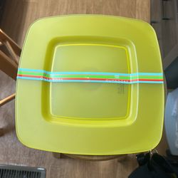 Picnic Plates