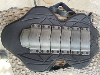 Alpinestar Back Protector 