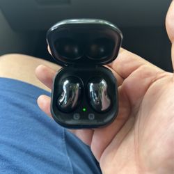 Earbuds