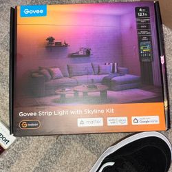 Govee 13ft String skyline Set 