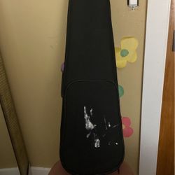 Violin