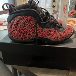 Foamposites Size 6.5